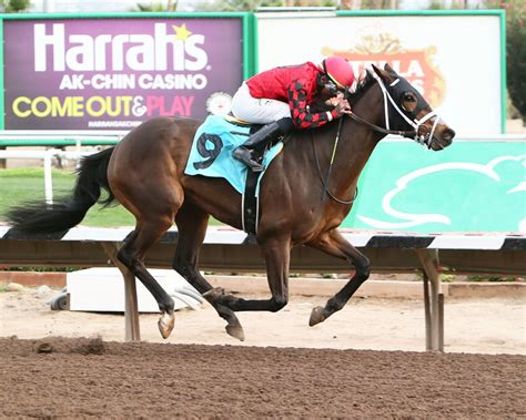 Turf Paradise Entries & Results 312022 Jump To Race Number 3. . Results from turf paradise
